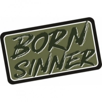 Патч Federkamm «Born sinner» купить в Кургане